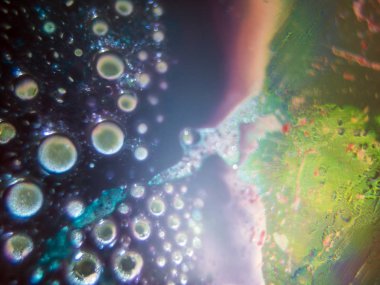 boya ile kimyasal deney