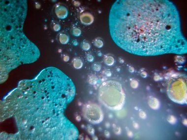 boya ile kimyasal deney