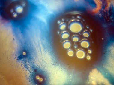 boya ile kimyasal deney