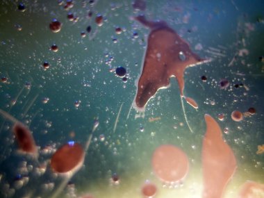 boya ile kimyasal deney