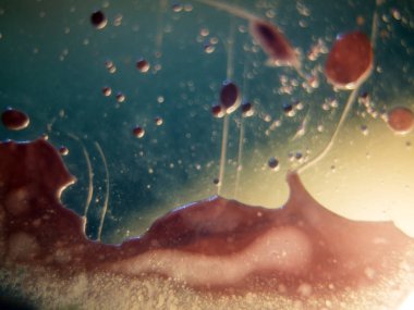 boya ile kimyasal deney