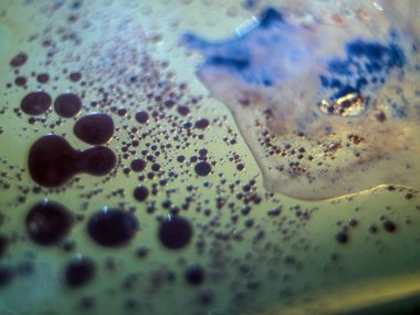 boya ile kimyasal deney