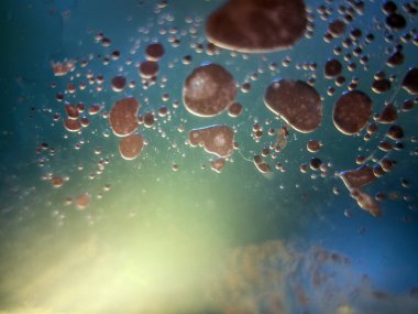 boya ile kimyasal deney