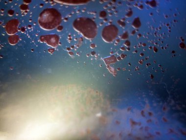 boya ile kimyasal deney