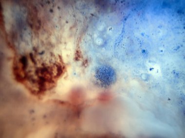 boya ile kimyasal deney