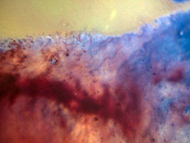 boya ile kimyasal deney