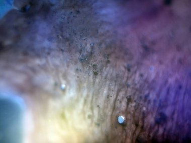 boya ile kimyasal deney