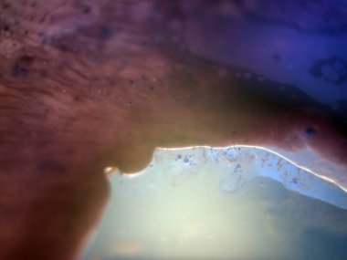 boya ile kimyasal deney