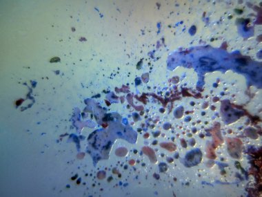 boya ile kimyasal deney