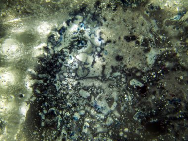 boya ile kimyasal deney