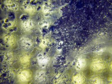 boya ile kimyasal deney