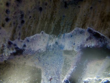 boya ile kimyasal deney