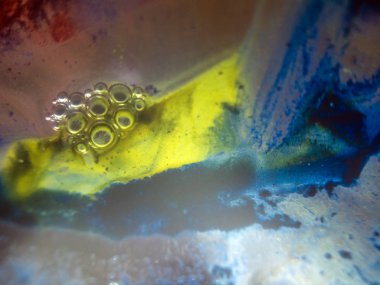 boya ile kimyasal deney