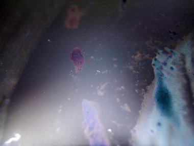 boya ile kimyasal deney