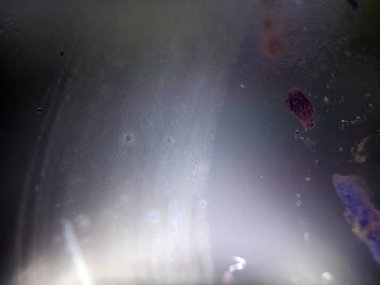 boya ile kimyasal deney