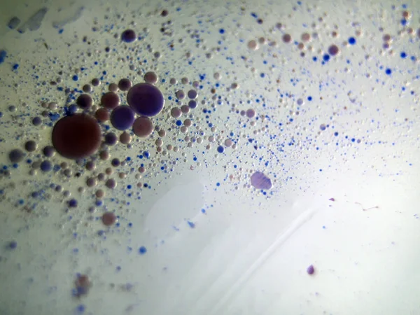 boya ile kimyasal deney