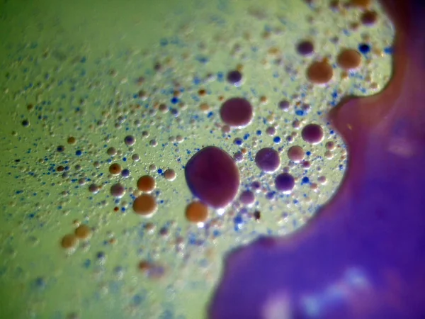 boya ile kimyasal deney