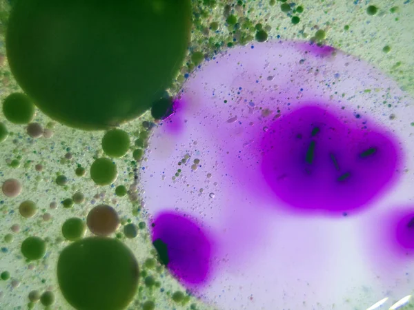 boya ile kimyasal deney