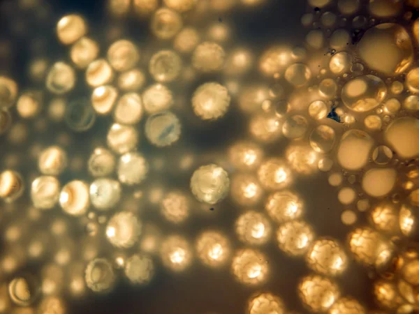 boya ile kimyasal deney