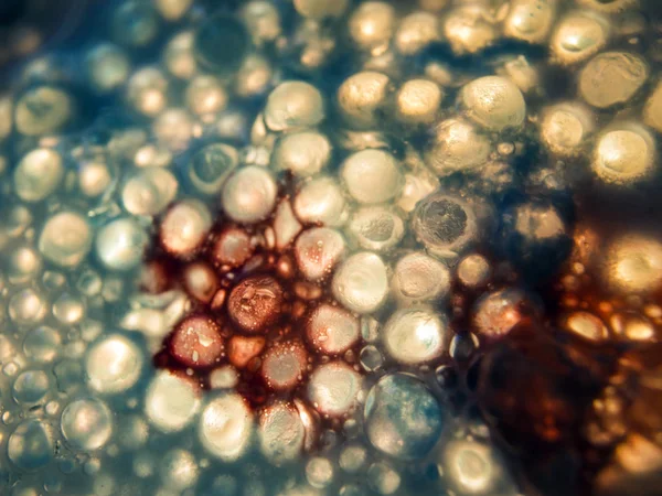 boya ile kimyasal deney