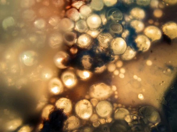 boya ile kimyasal deney