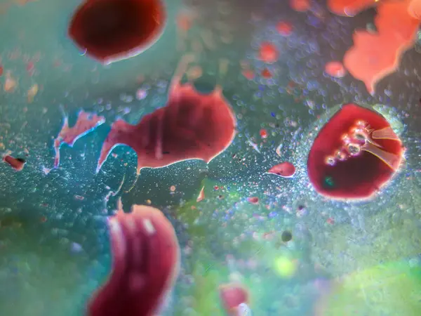 boya ile kimyasal deney