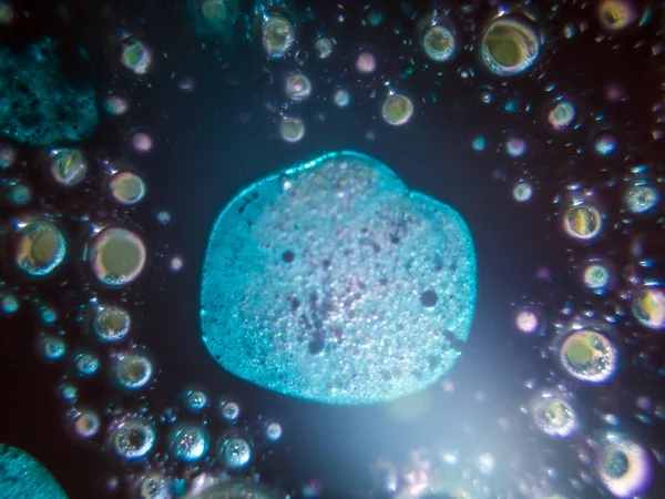 boya ile kimyasal deney