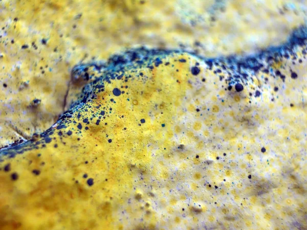 boya ile kimyasal deney