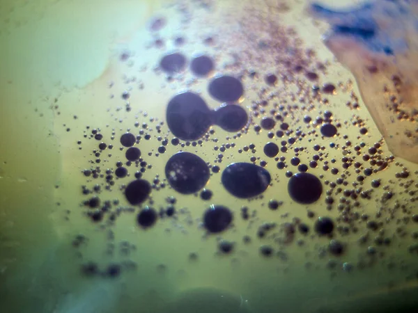 boya ile kimyasal deney