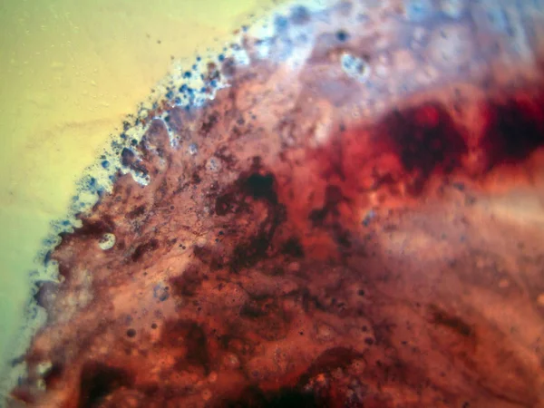 boya ile kimyasal deney