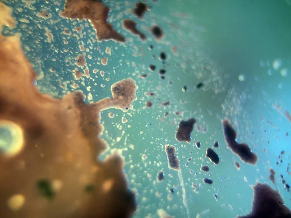 boya ile kimyasal deney