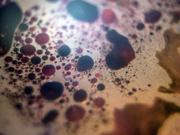 boya ile kimyasal deney