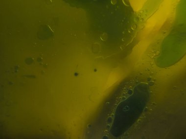 boya ile kimyasal deney