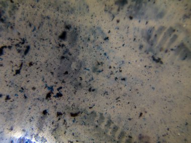 boya ile kimyasal deney