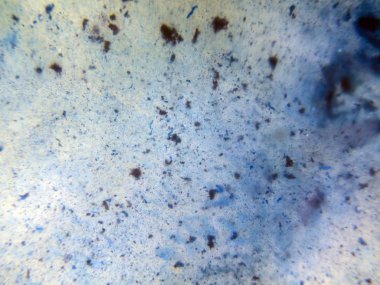 boya ile kimyasal deney