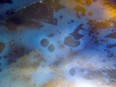 boya ile kimyasal deney