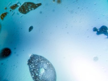 boya ile kimyasal deney