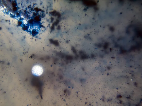 boya ile kimyasal deney