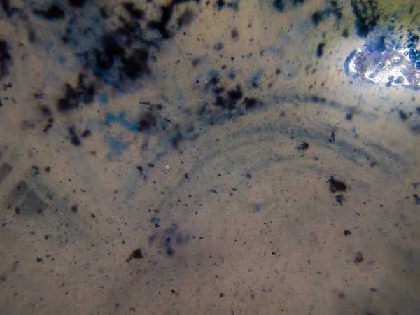 boya ile kimyasal deney