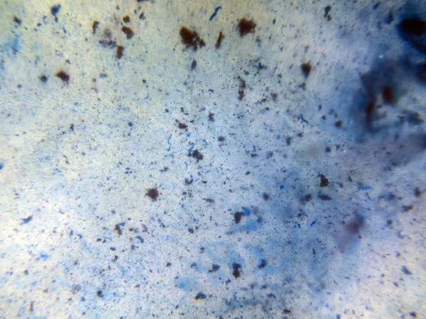 boya ile kimyasal deney