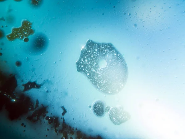 boya ile kimyasal deney