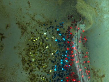 boya ile kimyasal deney