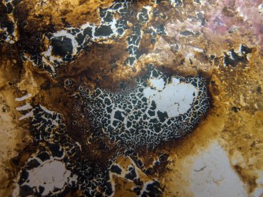 boya ile kimyasal deney