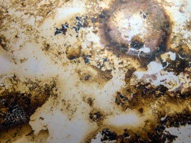 boya ile kimyasal deney