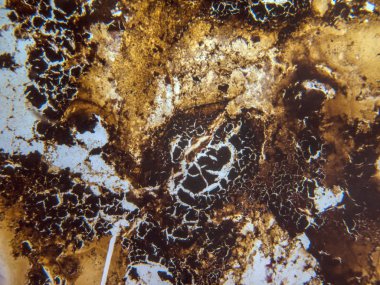 boya ile kimyasal deney