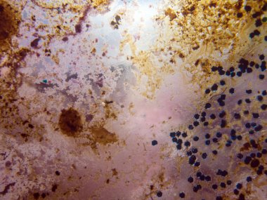 boya ile kimyasal deney