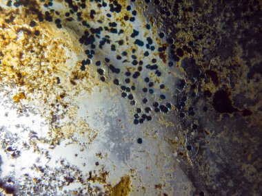 boya ile kimyasal deney