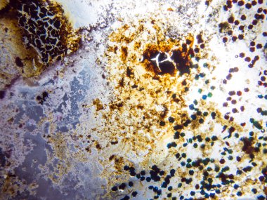 boya ile kimyasal deney