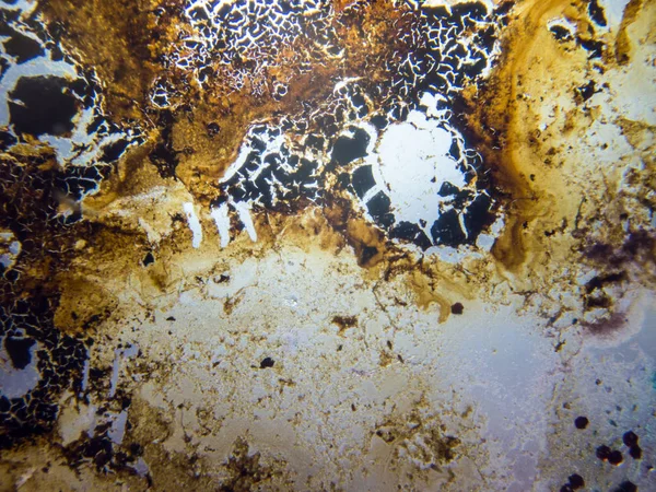 boya ile kimyasal deney