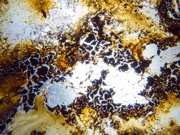 boya ile kimyasal deney